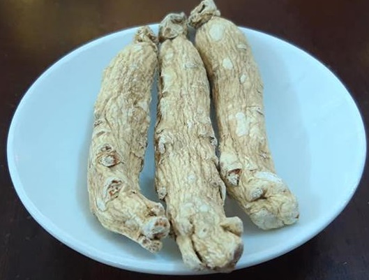 Bạch Sâm Hàn Quốc – Củ Khô 1Kg