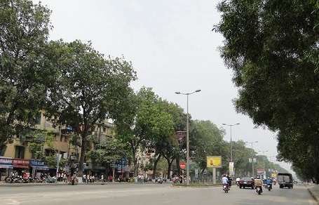 cua hang nhan sam ha noi pho nguyen trai