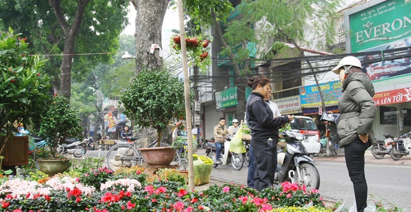 cua hang ban nhan sam cao cong nen bo qua tai pho hoang hoa tham