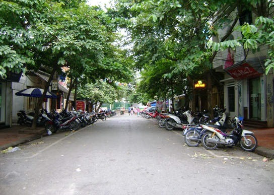 Cua hang nhan sam ha noi chat luong gan pho do hanh 2