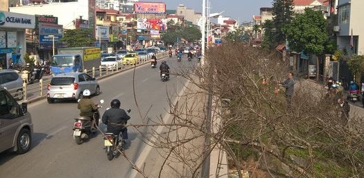 cua hang nhan sam ha noi cao cap tai pho au co