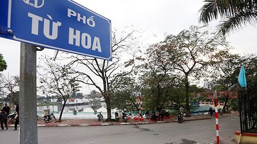 cua hang nhan sam ha noi cao cap tai pho tu hoa