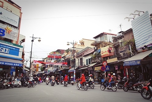 cua hang nhan sam ha noi cao cap tren pho hang dao