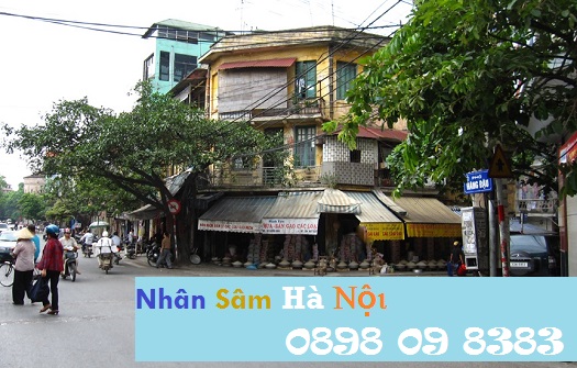 den pho hang dau mua nhan sam cao cap tai cua hang nhan sam ha noi