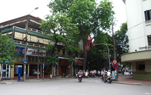 den ngay cua hang nhan sam ha noi phuong yen so khi can mua nhan sam cao cap