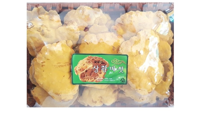 Nấm Thượng Hoàng Hàn Quốc Cao Cấp - 500g – Nhân Sâm Hà Nội